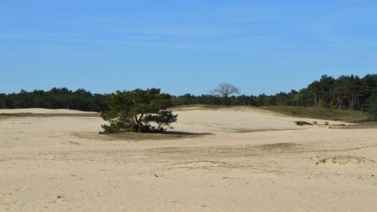 GO Holland Nature Travel
