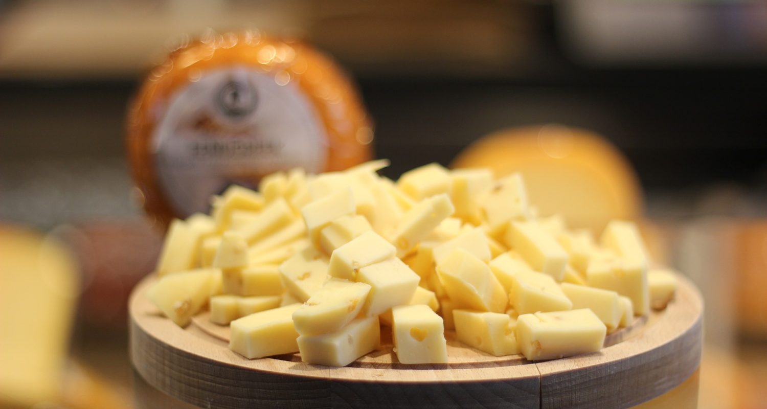 cheese-GO Dutch travel